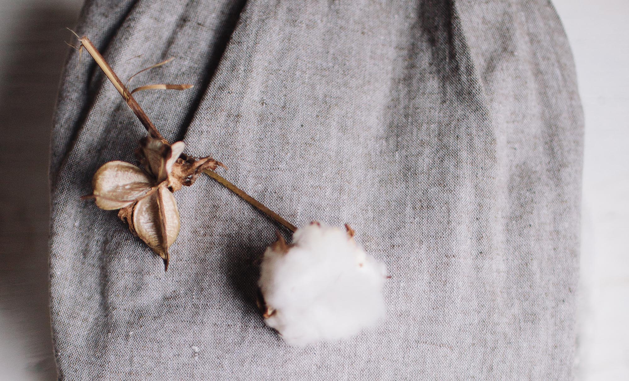 Material Guide How Ethical Is Cotton? Good On You