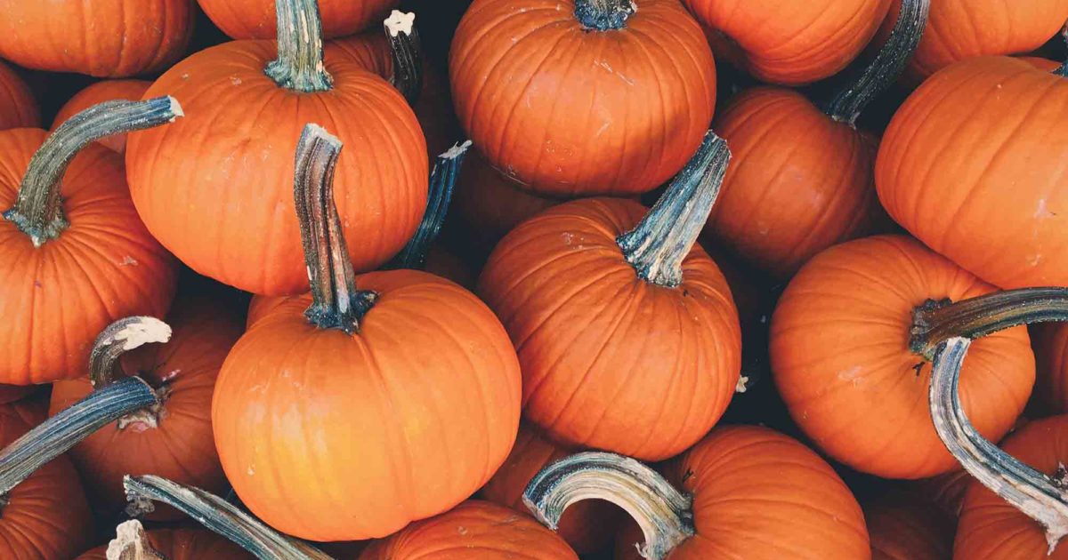 The Ultimate Guide to Having a Green Halloween Good On You