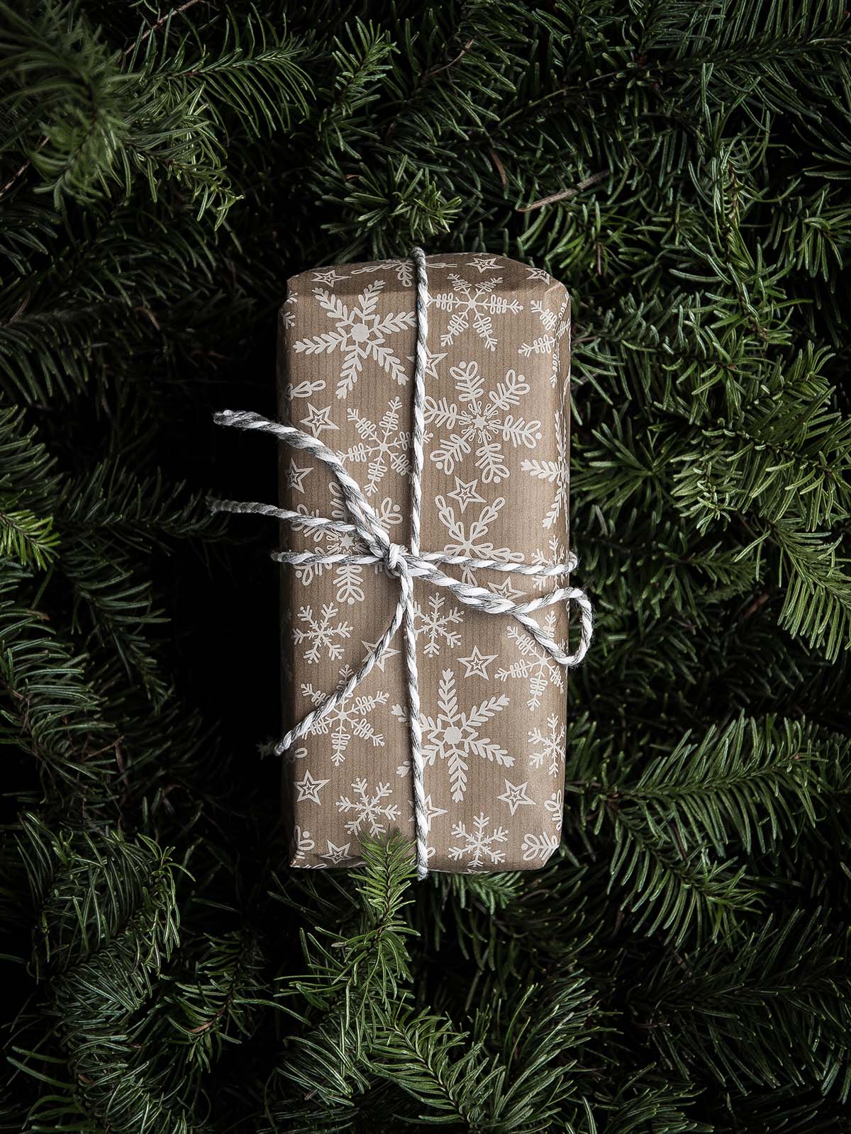 sustainable christmas gifts