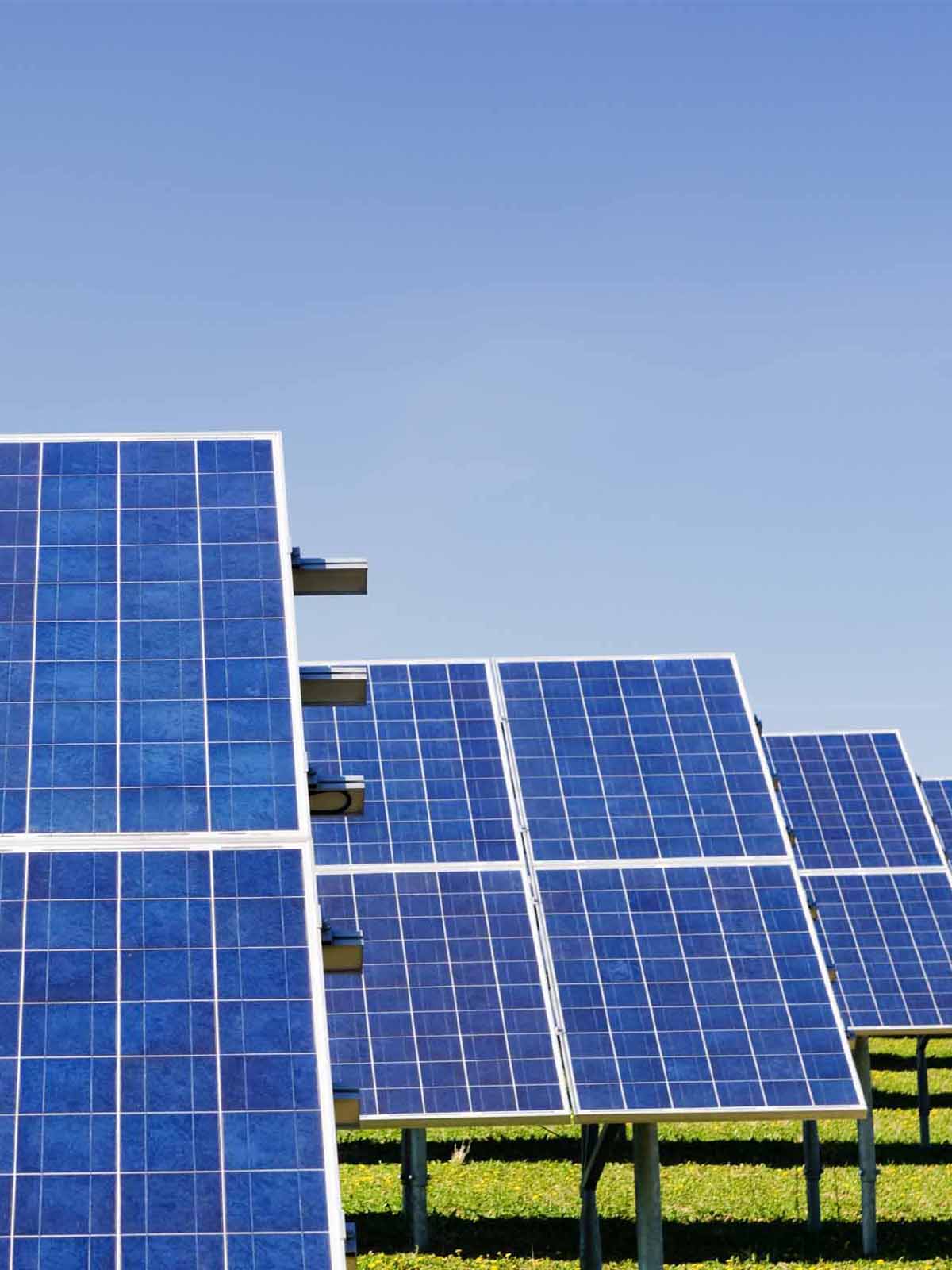 solar panels in field
