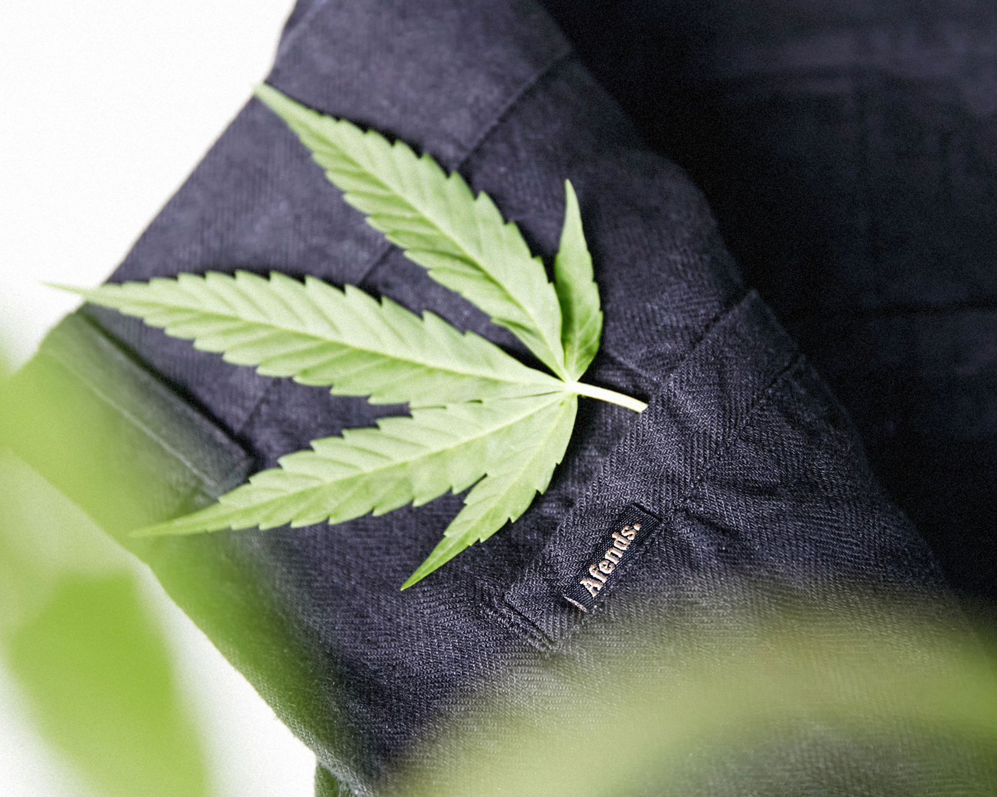 close up of black sustainable hemp pants with a hemp leaf on top by Australian brand Afends
