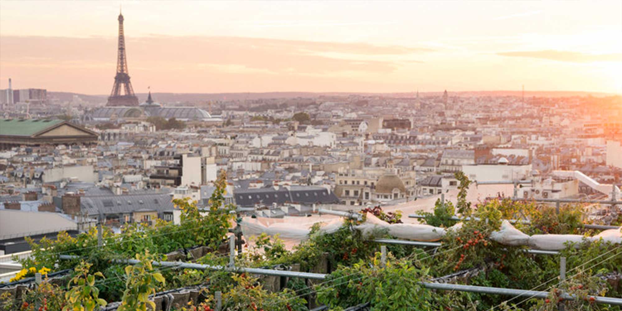 view of paris from galeries lafayette's rooftop