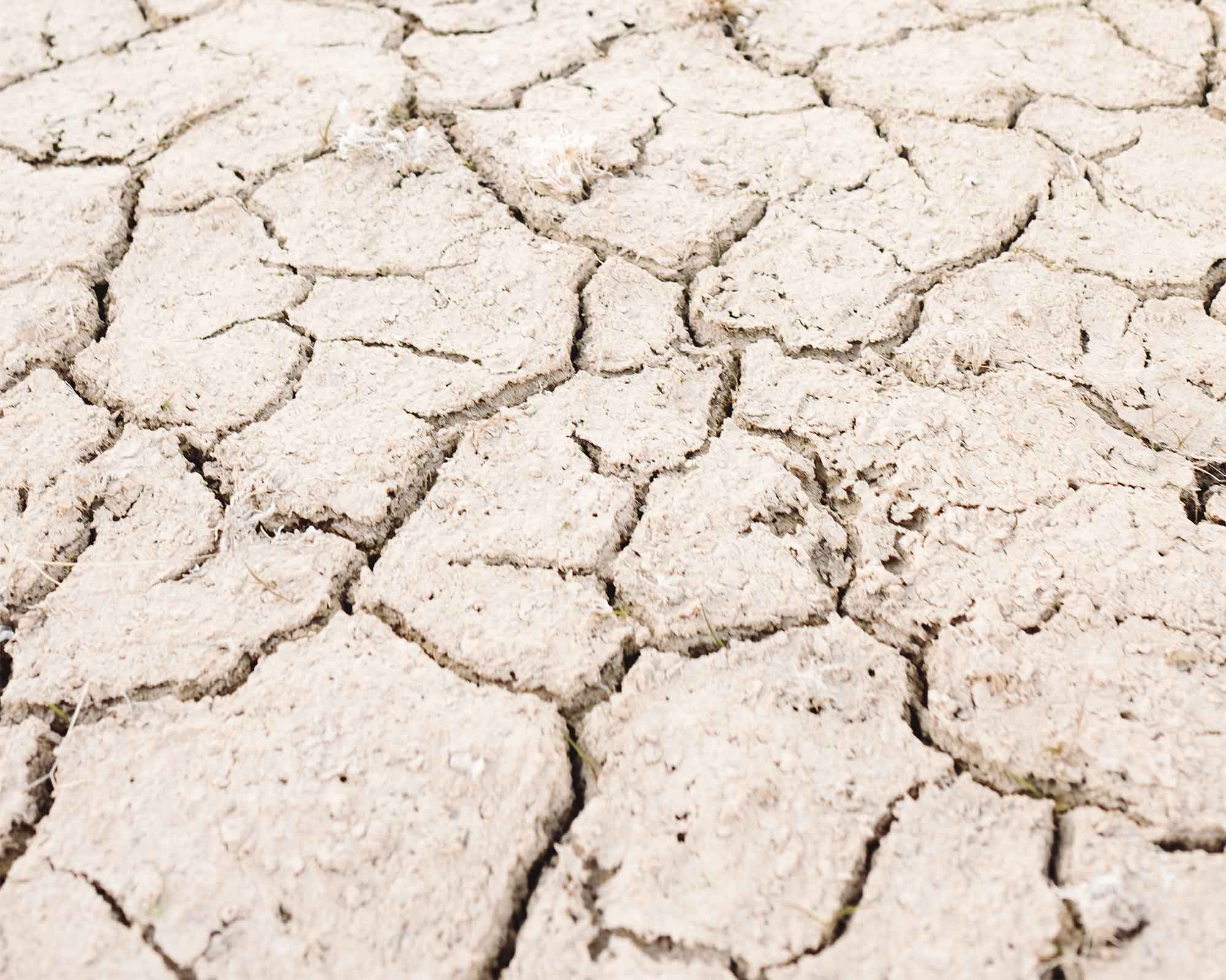 close view of ground of dry, cracked rocks.