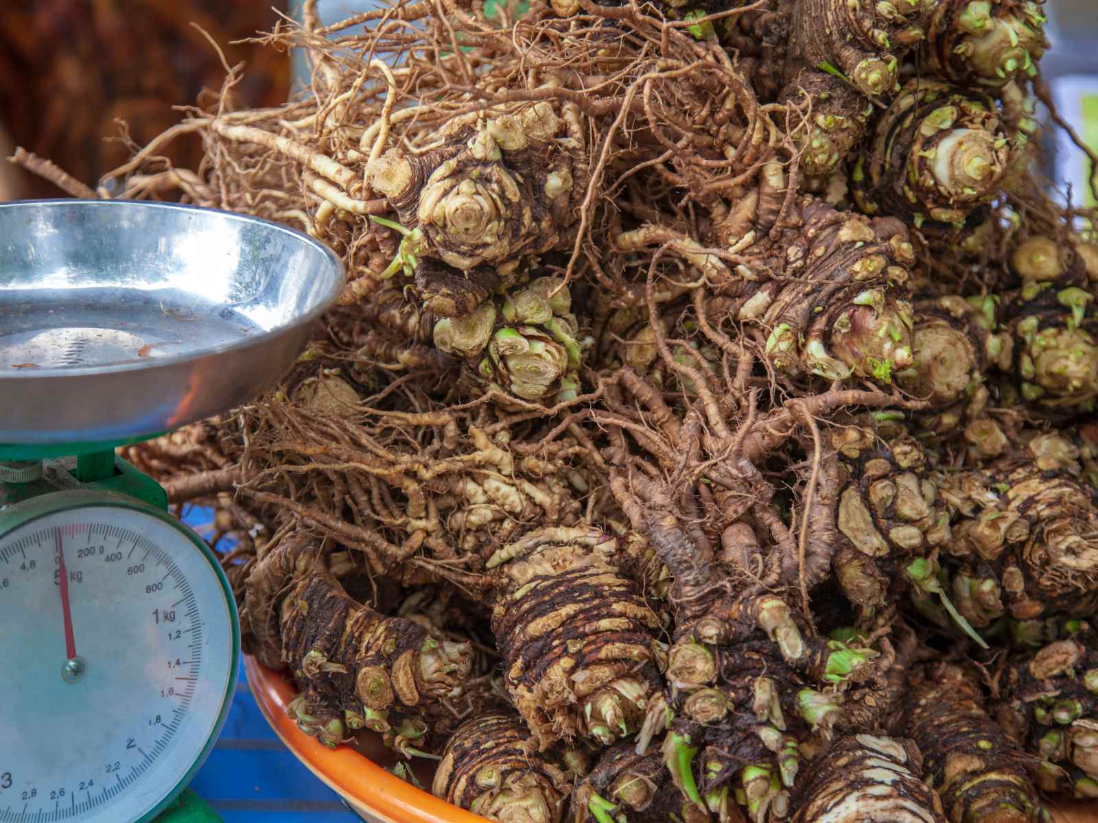 Madder root piled up for use as a dye