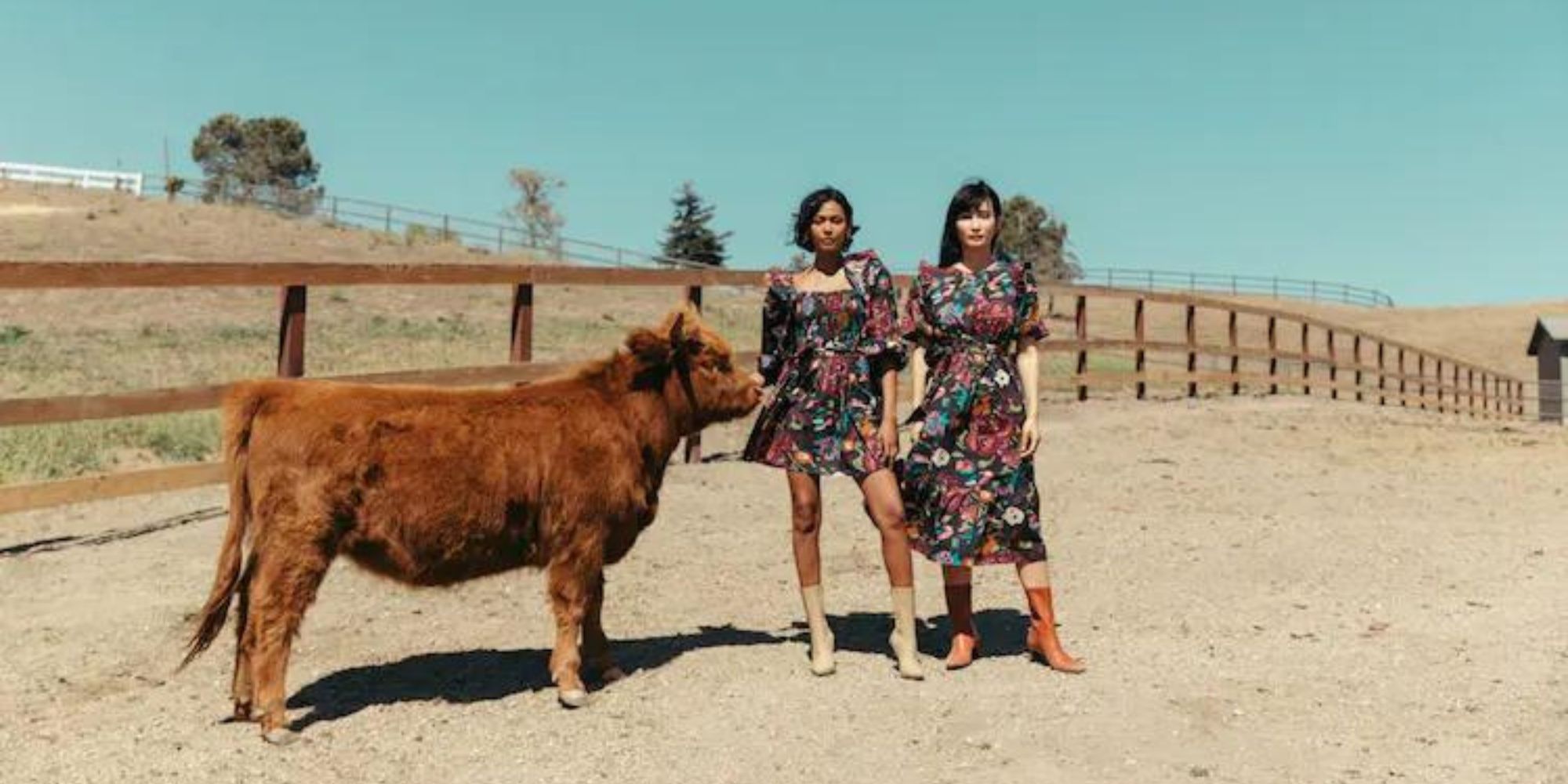 Two people wearing colourful artisanal dresses standing next to a fluffy orange cow calf.