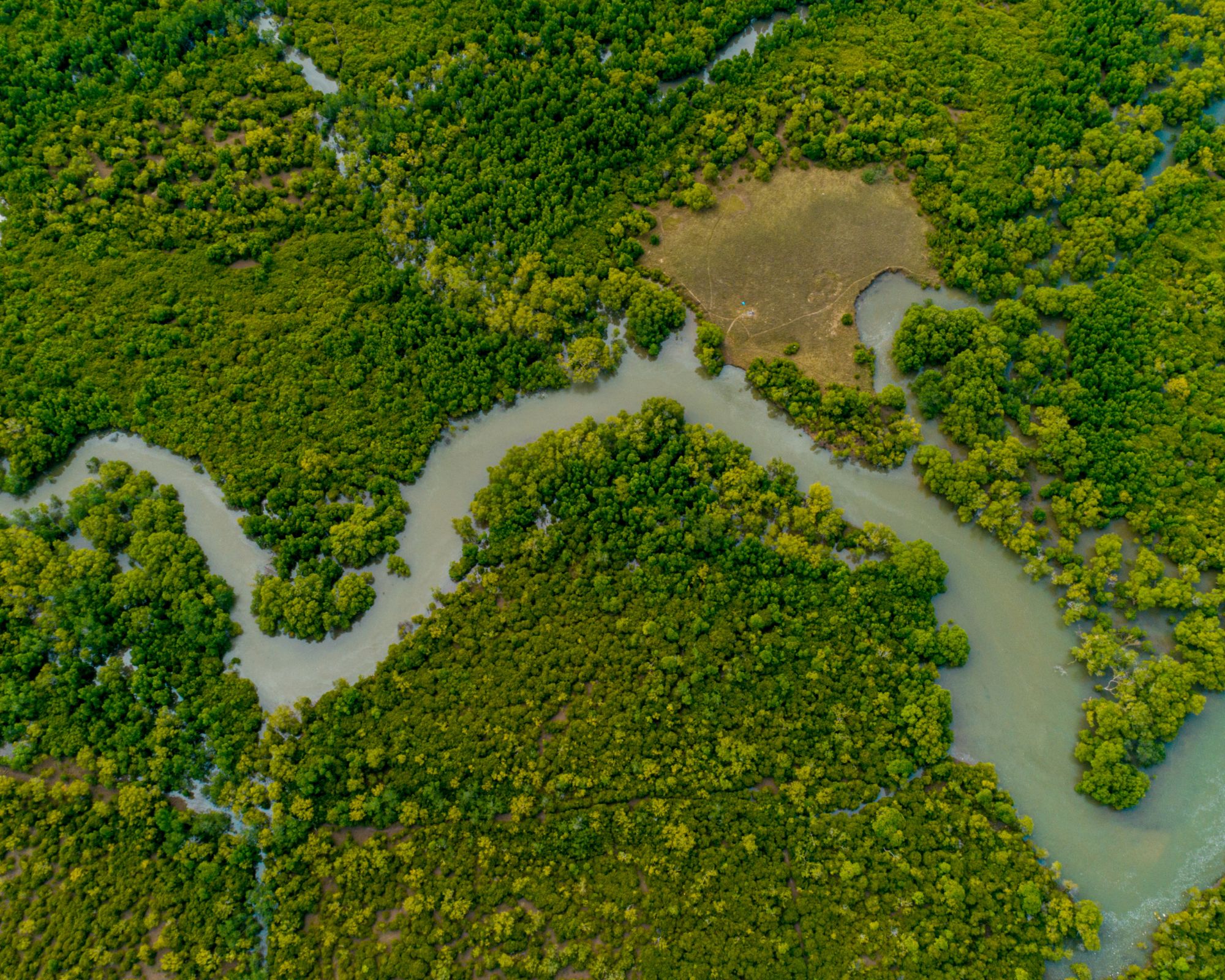 An aerial shot of a river winding through green forests.