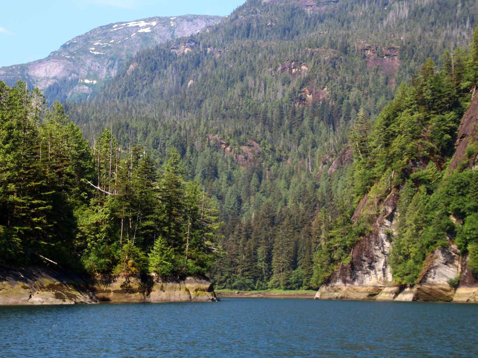 Tongass National Forest in Alaska, USA