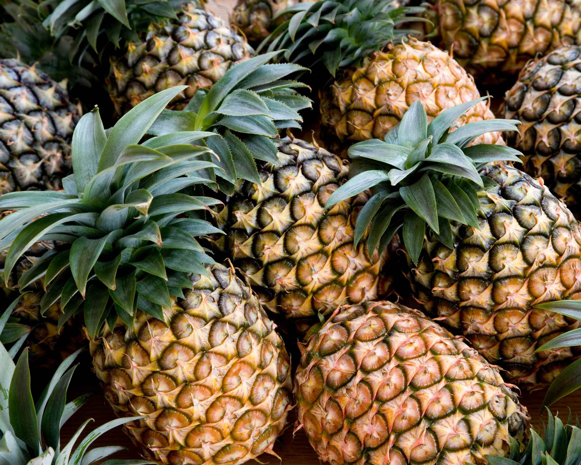 A pile of pineapples
