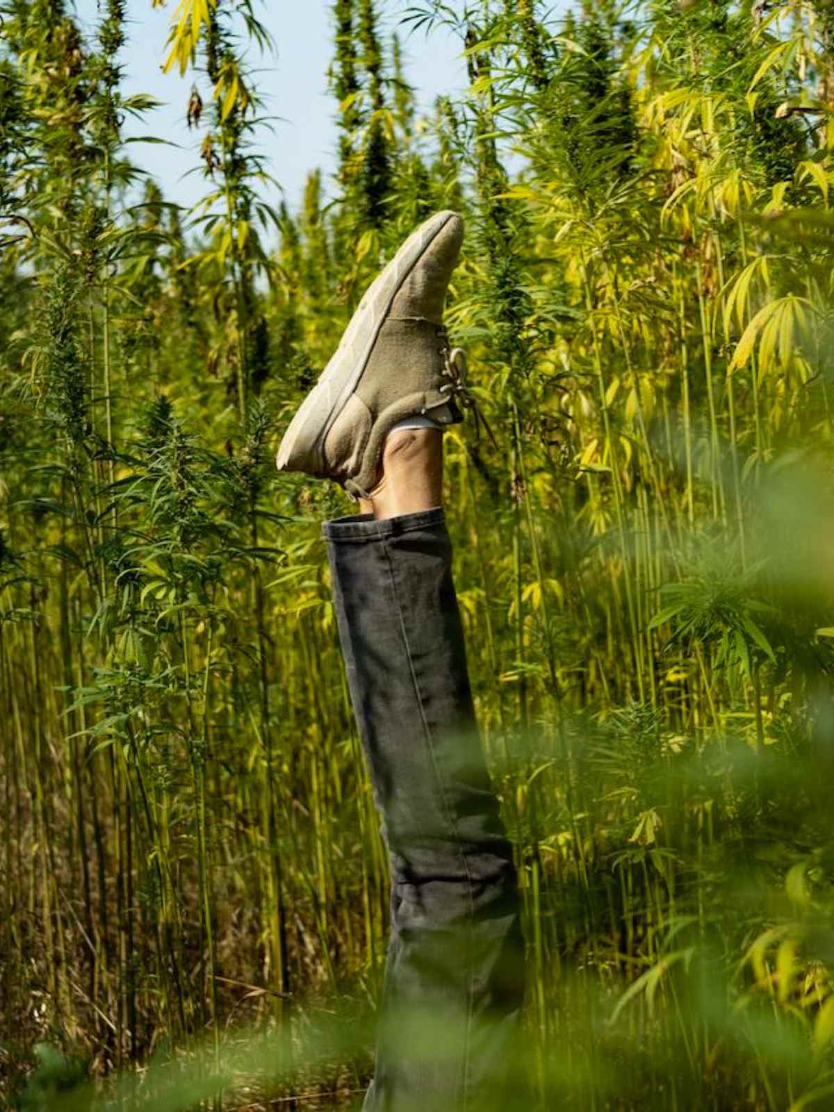 Person wearing hemp trainers from 8000kicks