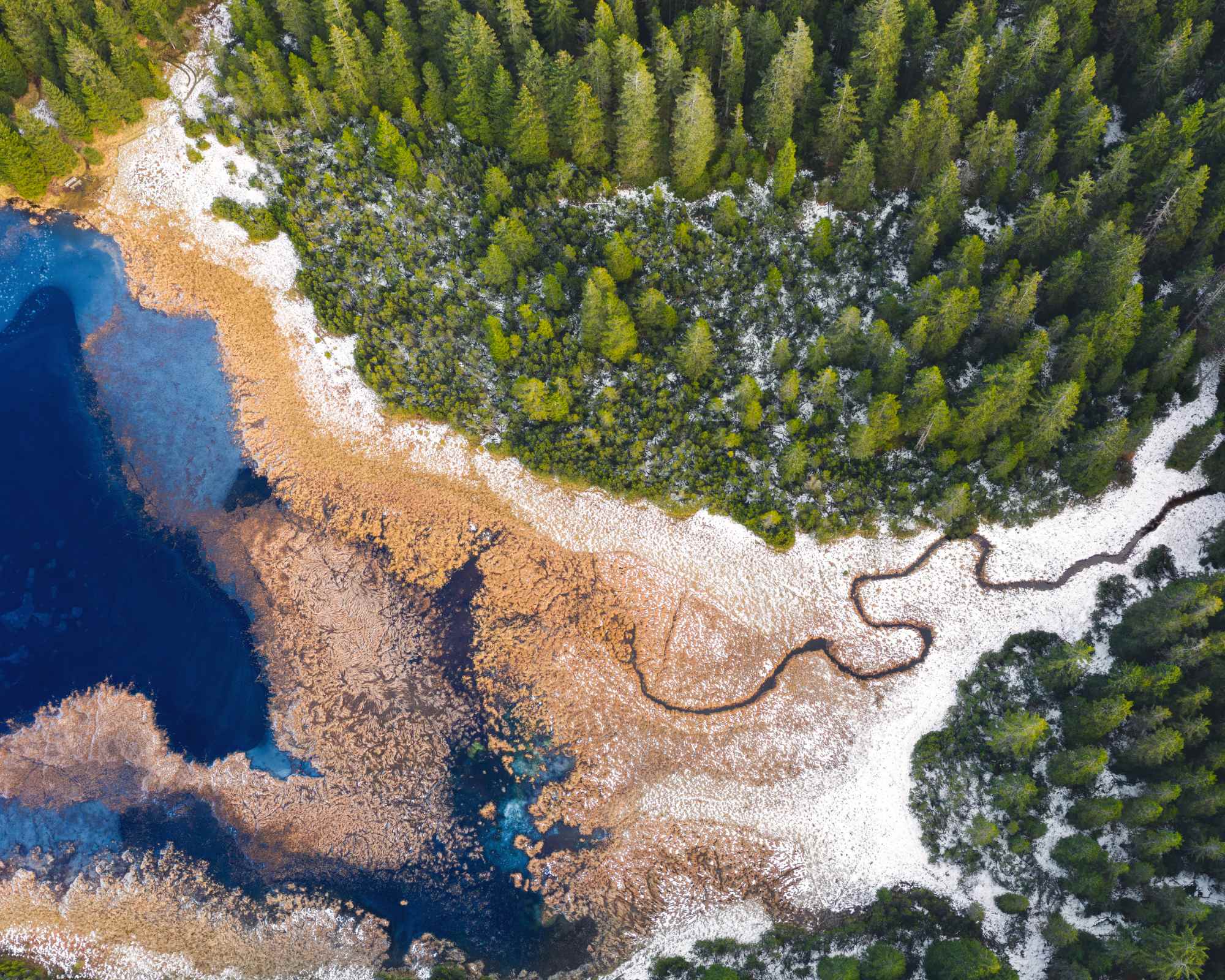 Mountain lake from above