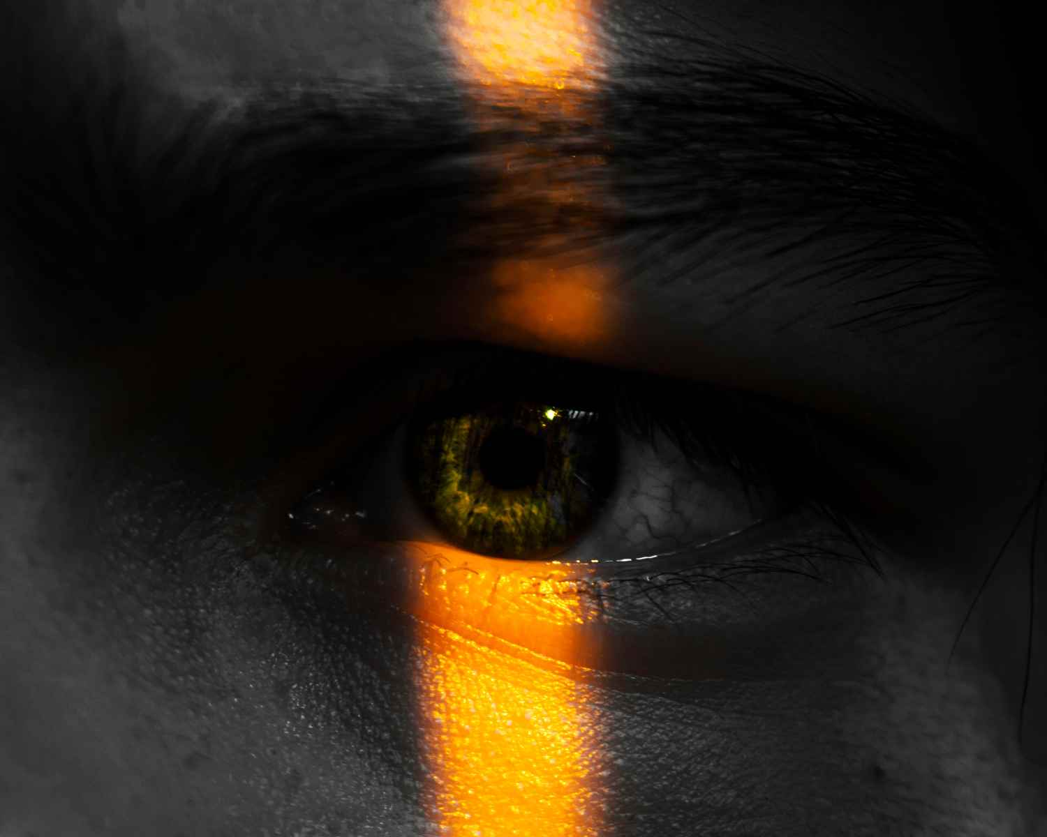 Human eye with a sliver of light on it