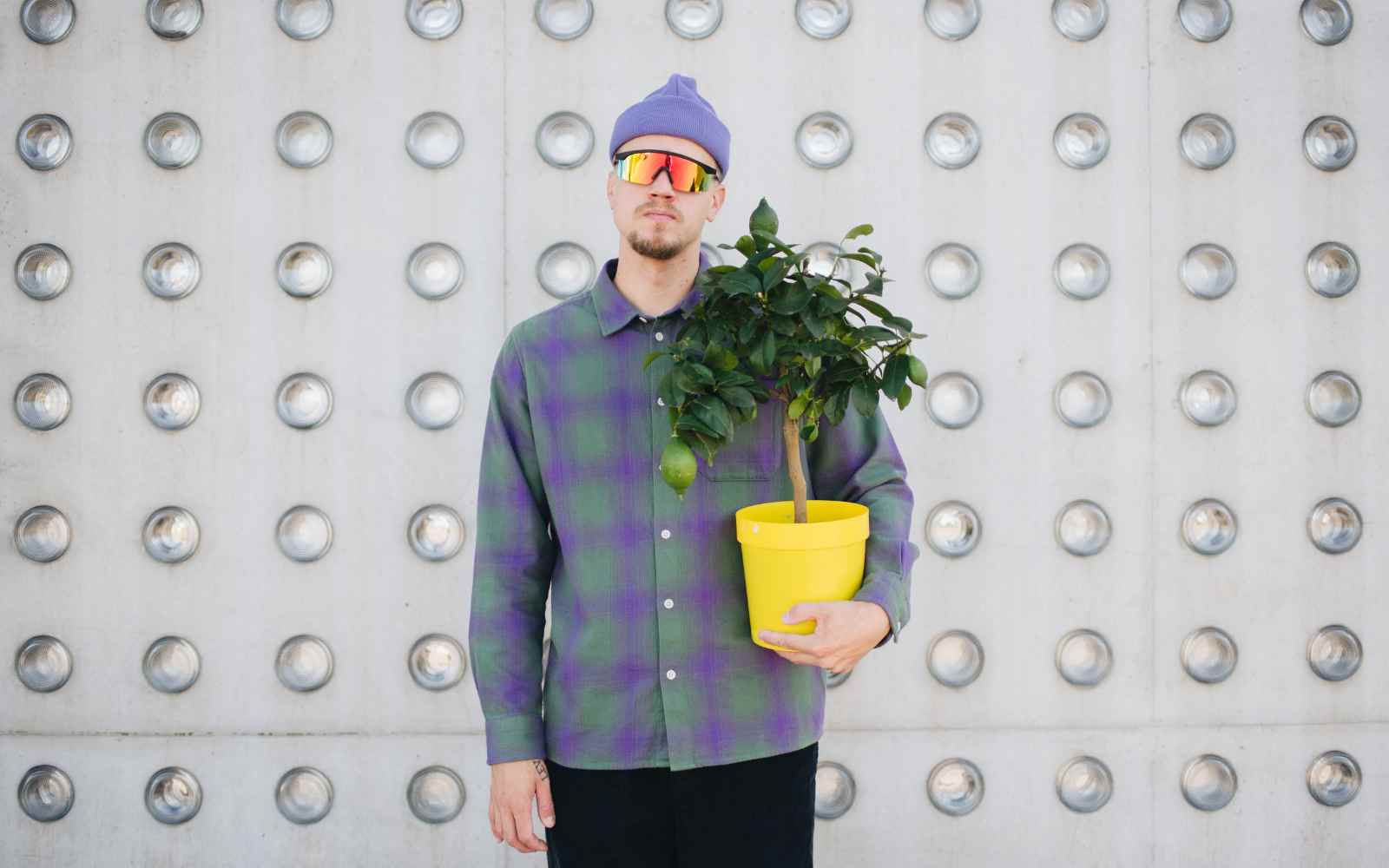 Person holding a potted tree for Dedicated's tree planting initiative