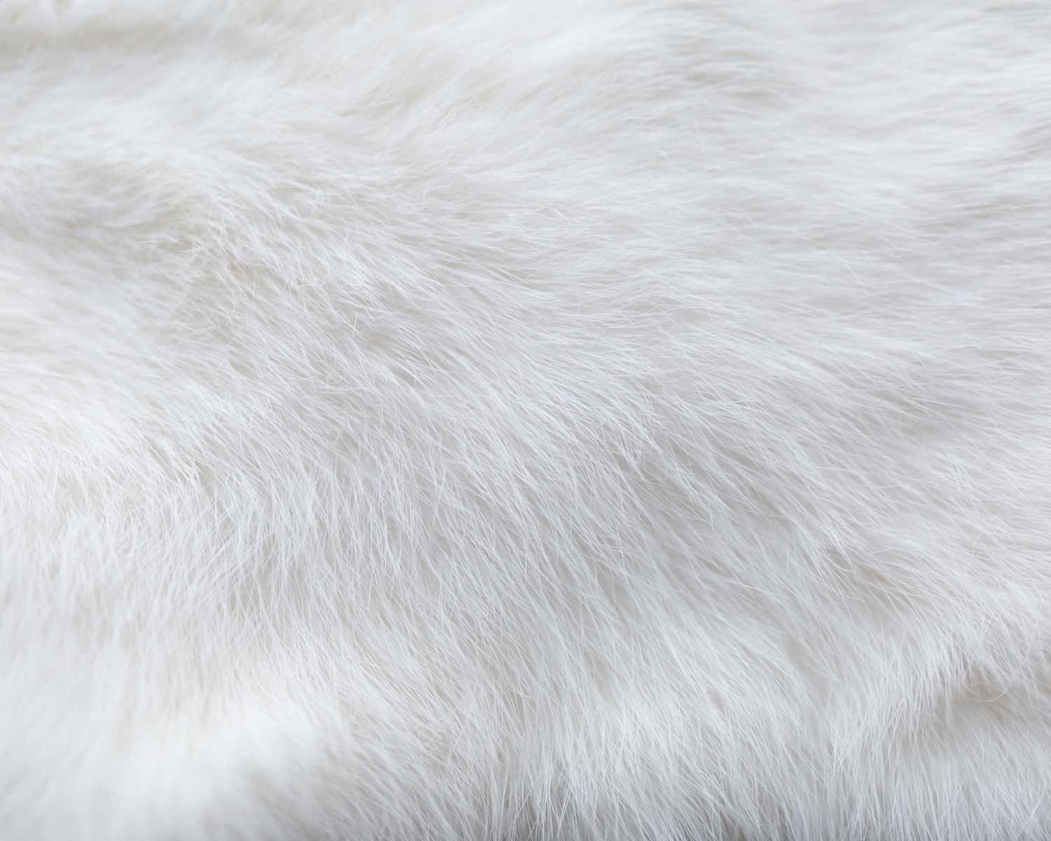 White animal fur