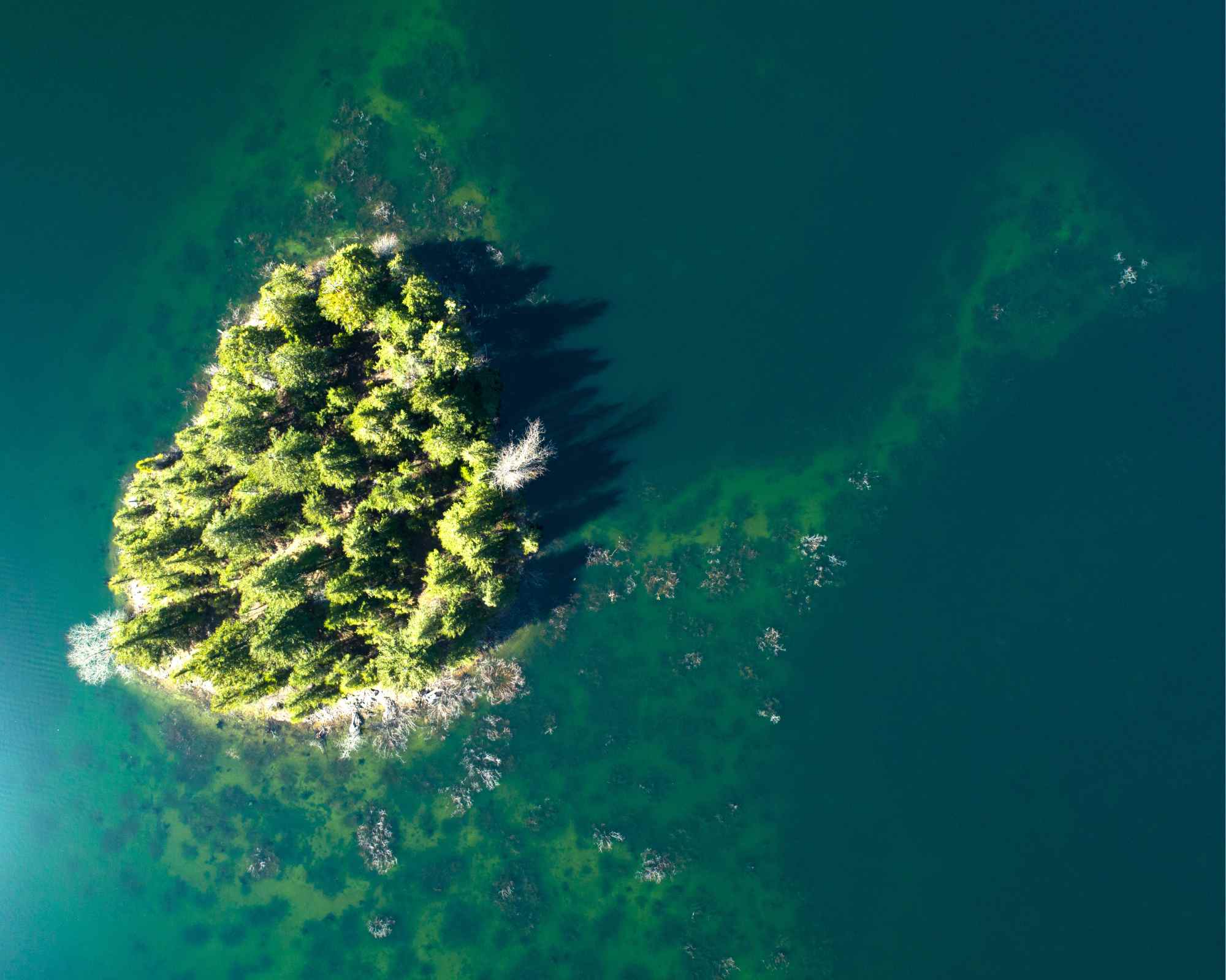 island in sea from above