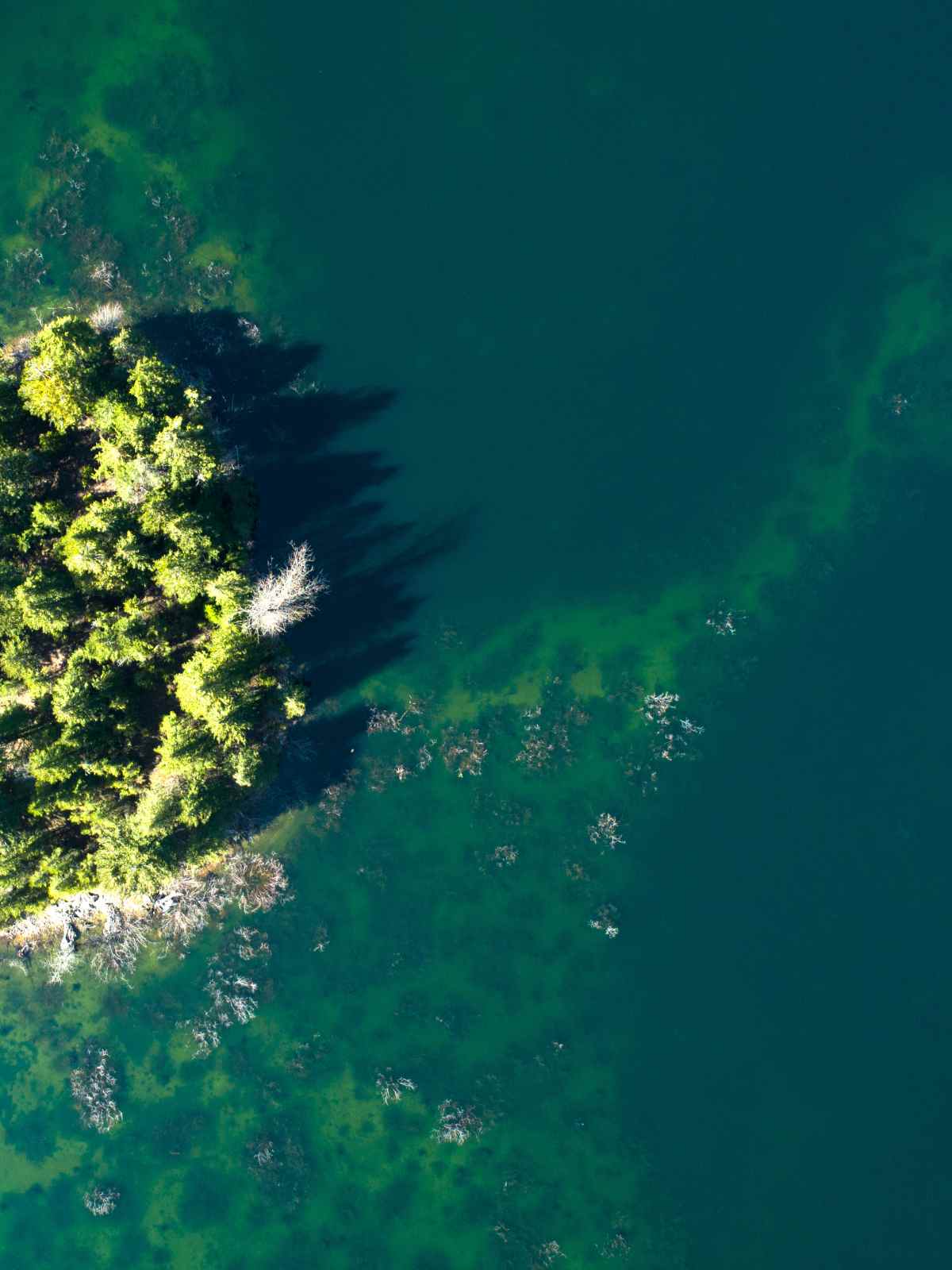 island in sea from above