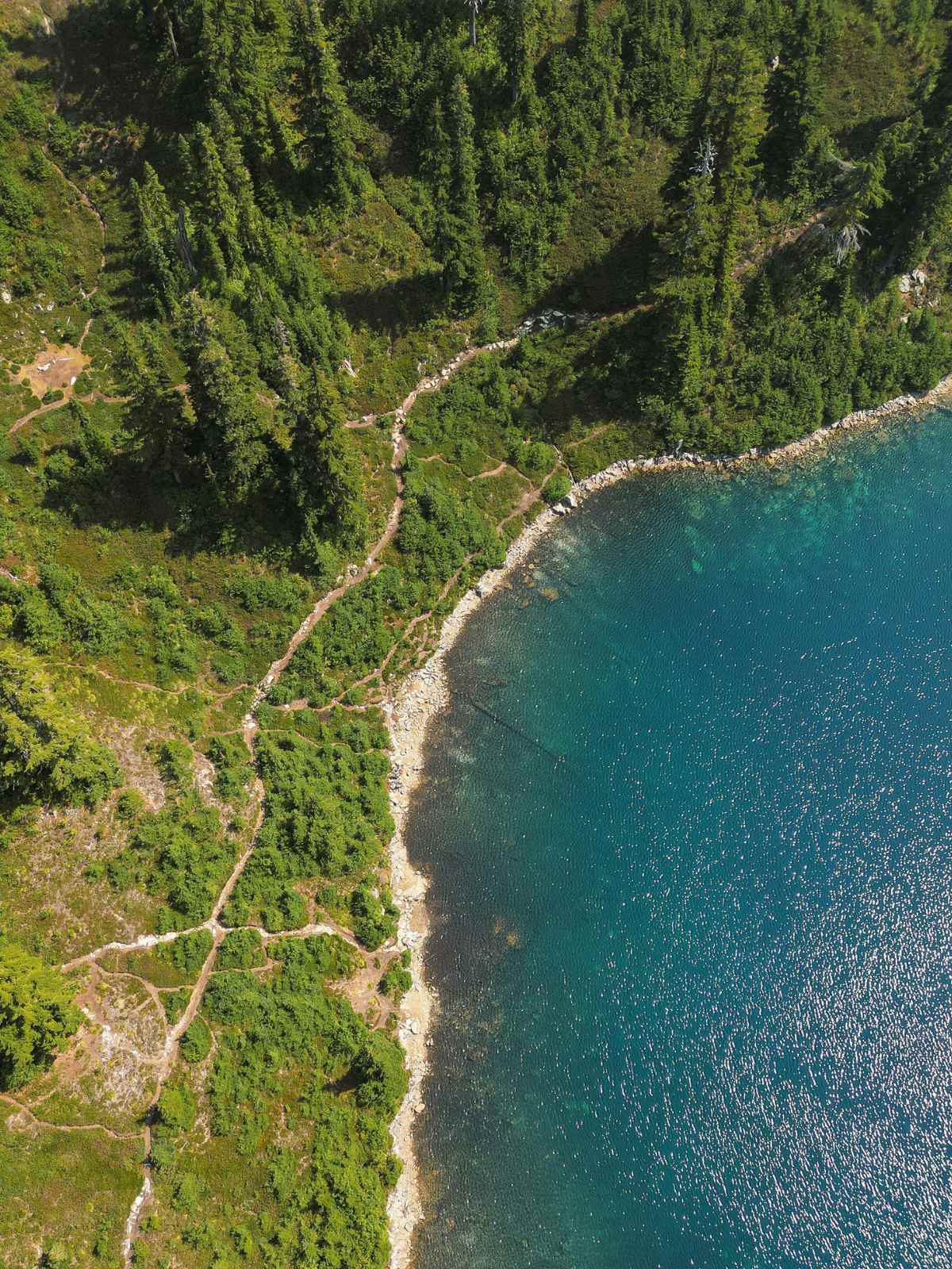 woods and sea seen from above