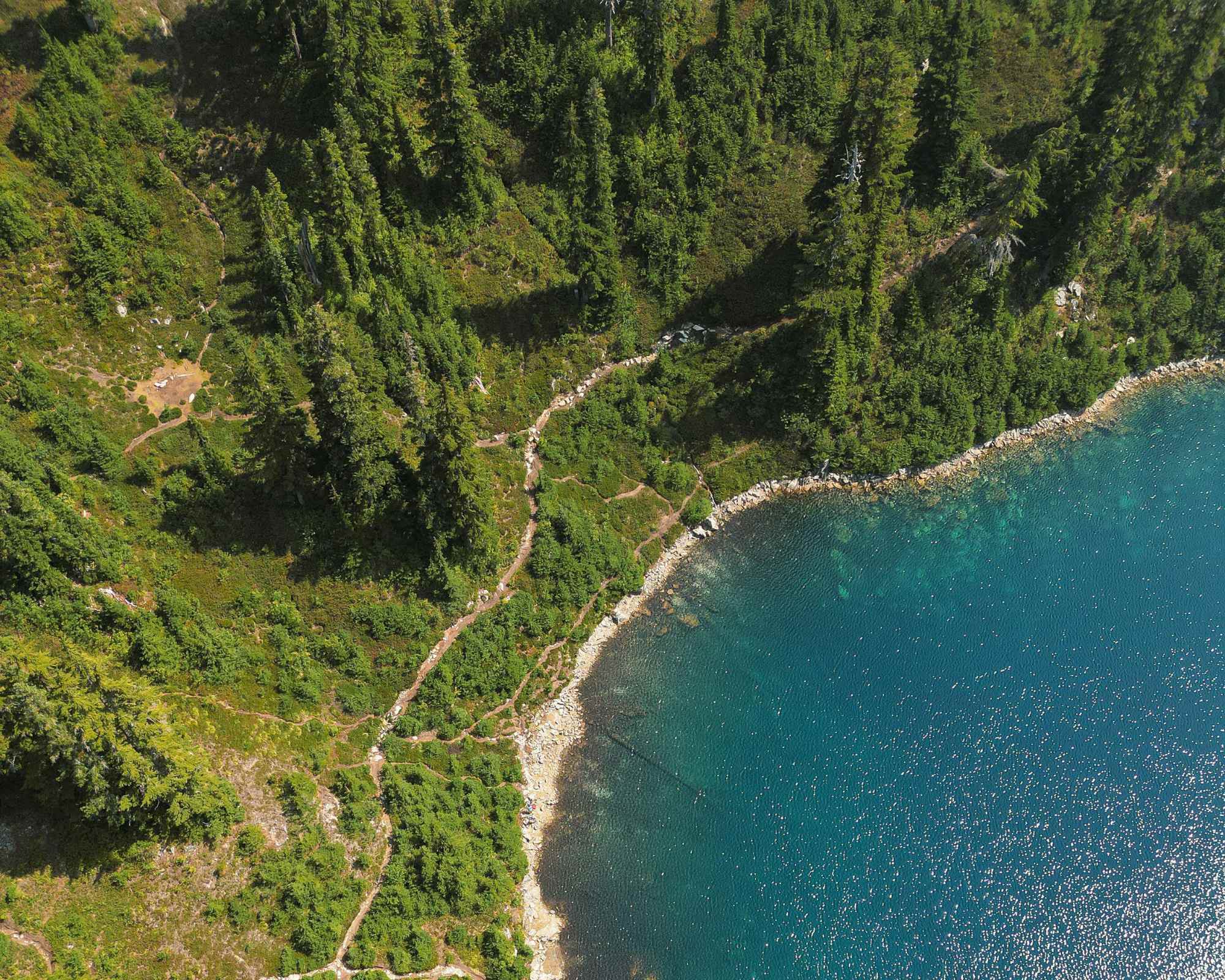 woods and sea seen from above