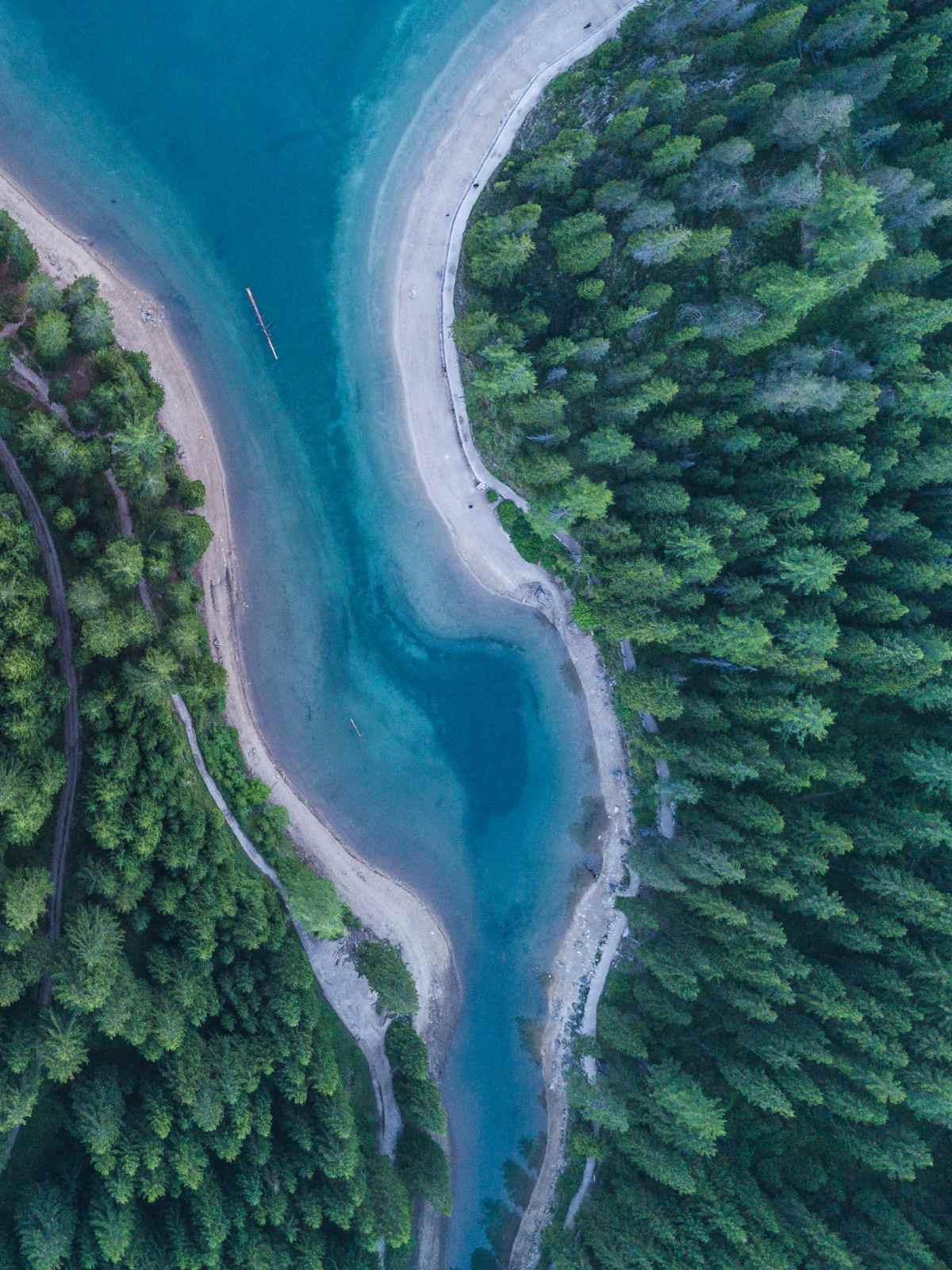 lake and forest seen from above