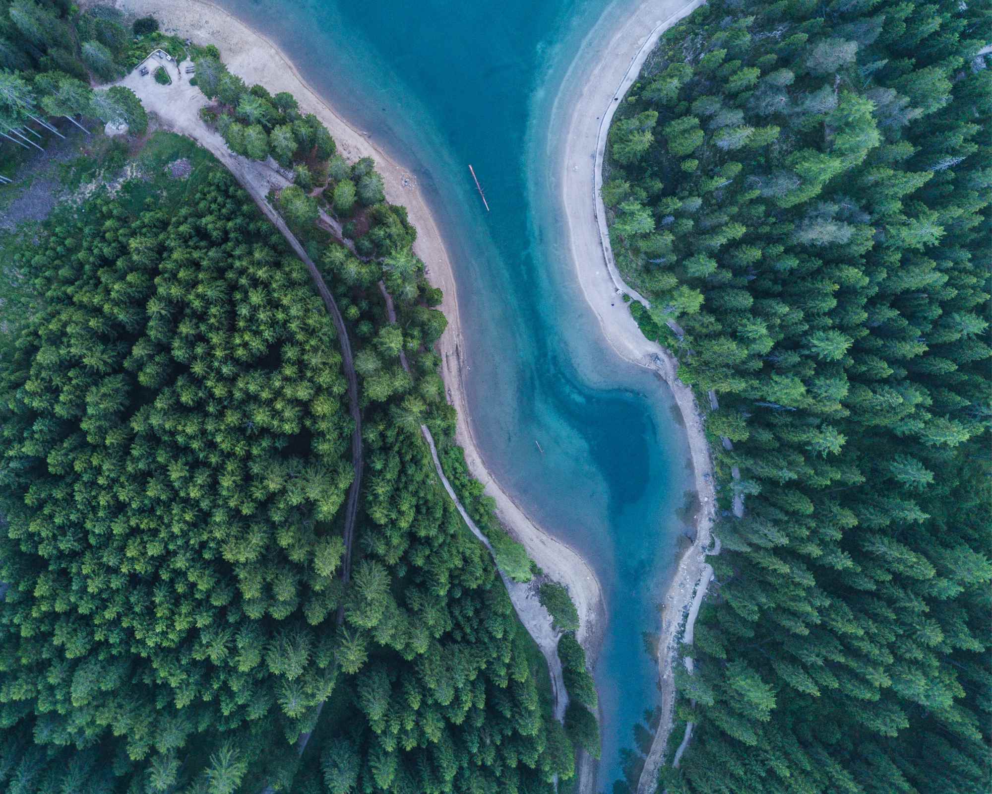 lake and forest seen from above