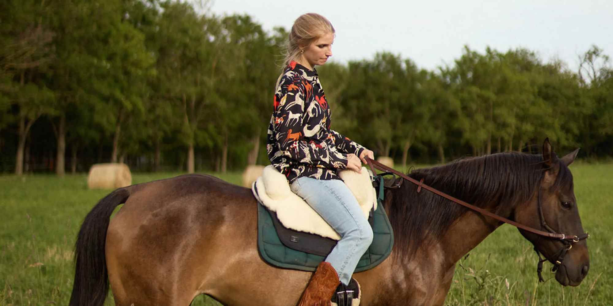 dedicated artist collection october 2025