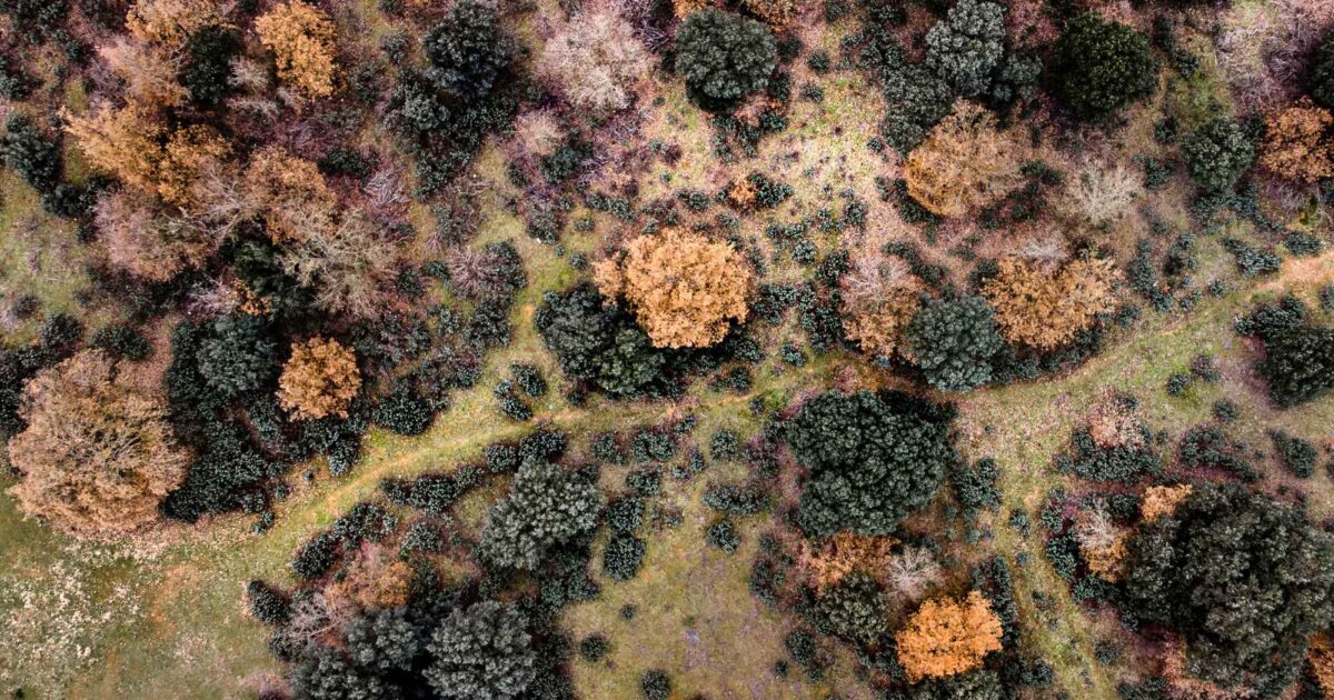 8 Things to Know in Sustainable Fashion and Beauty This February