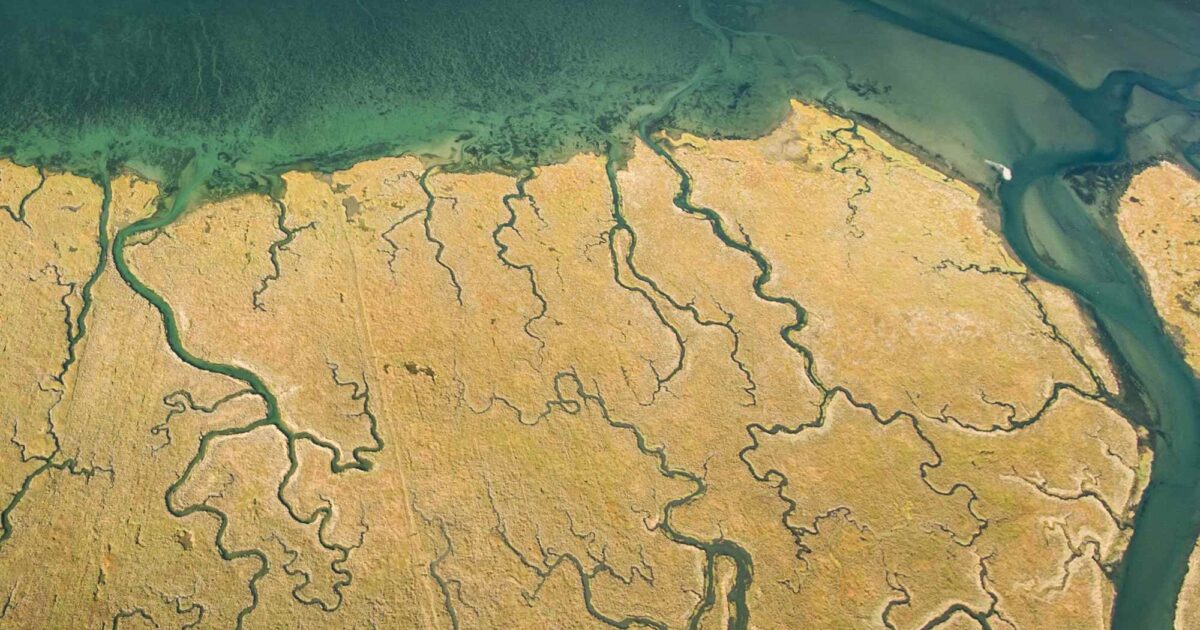 12 Things to Know in Sustainable Fashion and Beauty This January