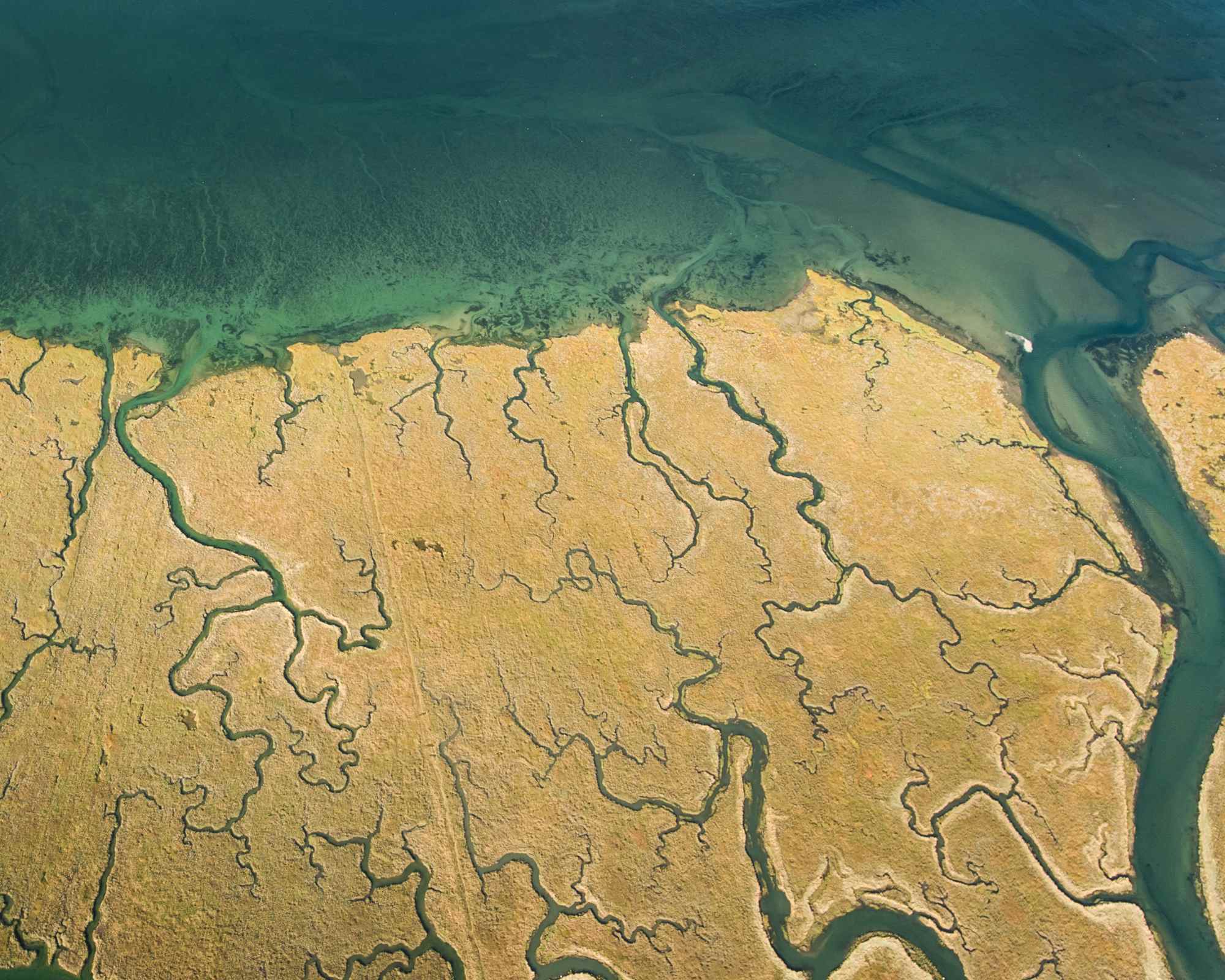 wetlands from above