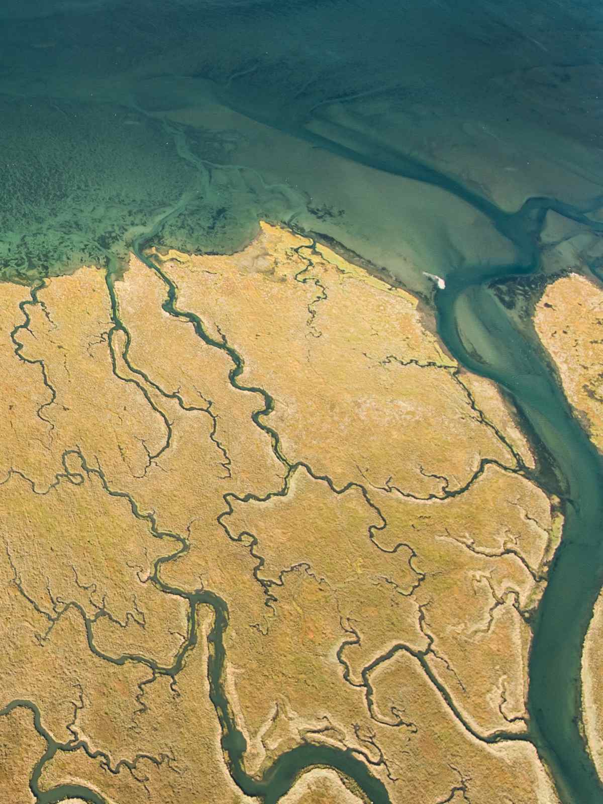 wetlands pictured from above