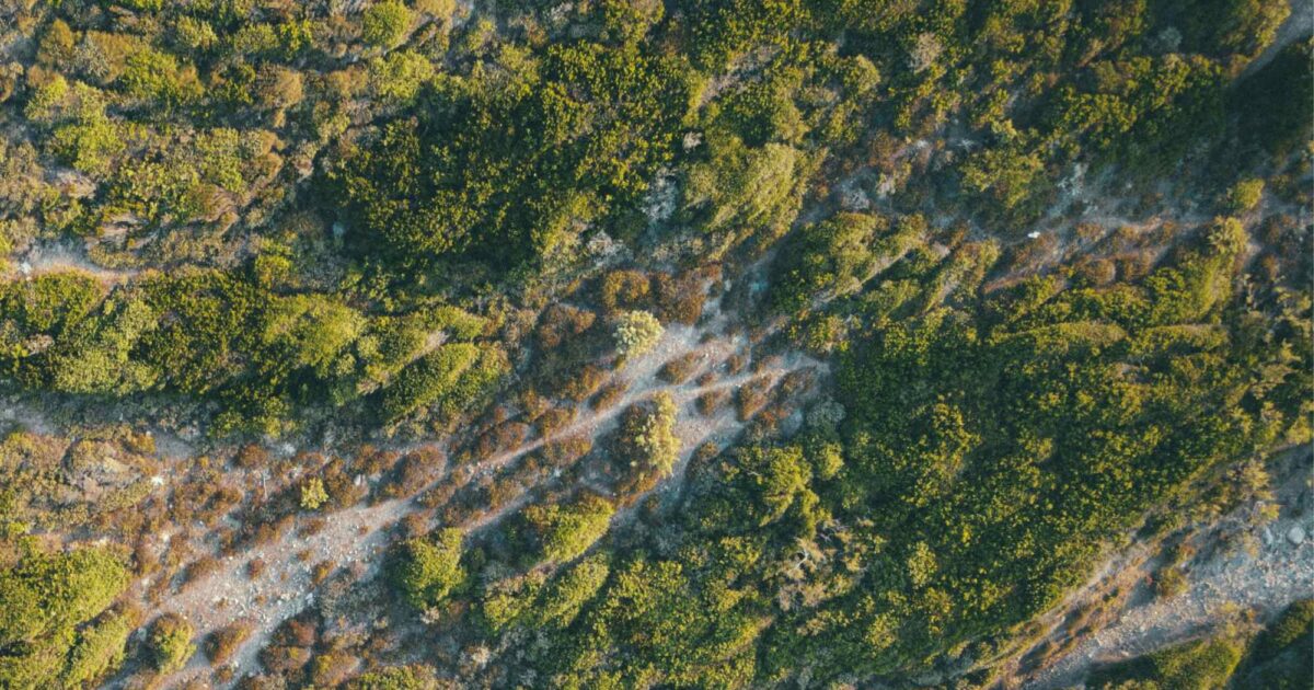 15 Things to Know in Sustainable Fashion and Beauty This April