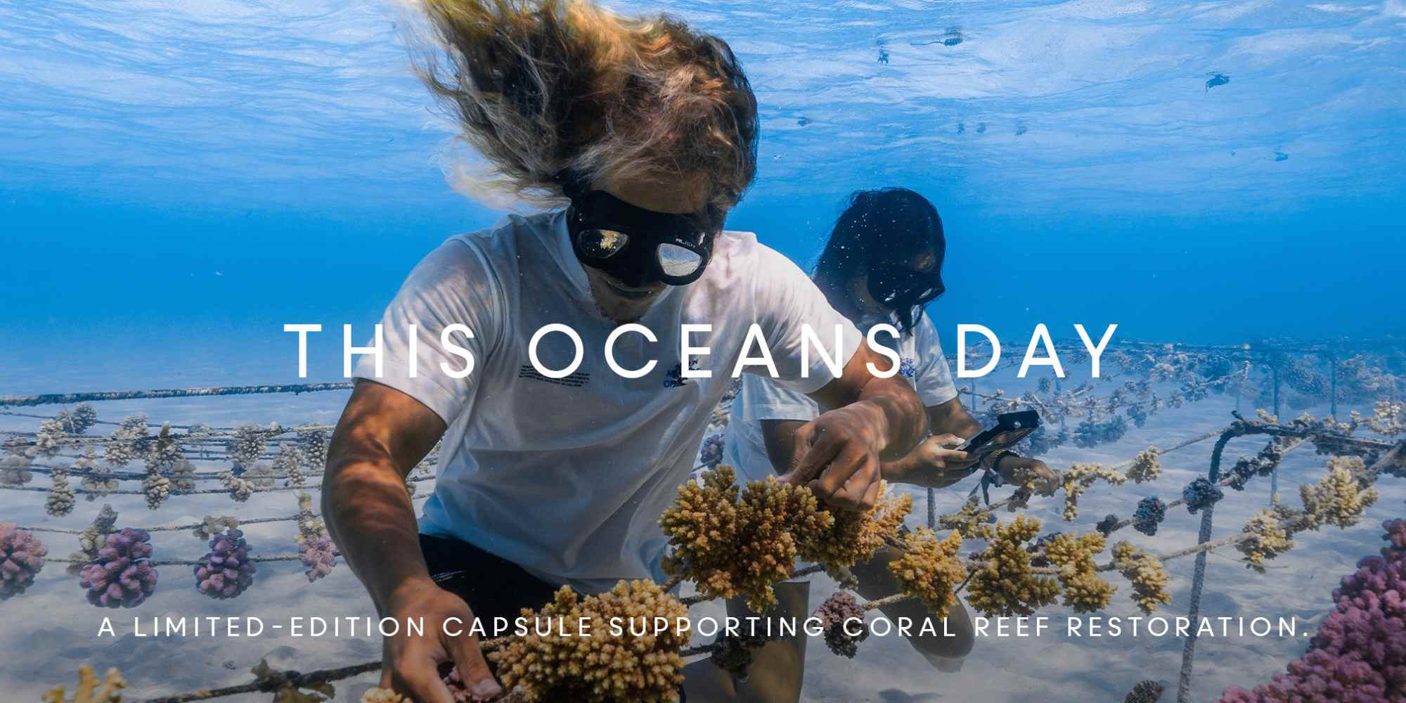 graphic advertising pangaia's collaboration with coral gardeners