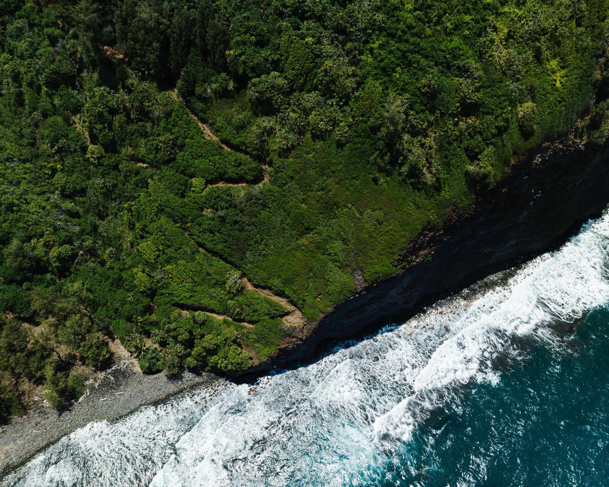 green hillside and ocean seen from above (1)