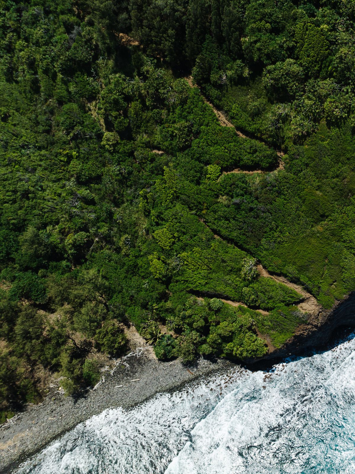 green hillside and ocean seen from above (1)